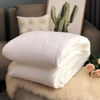 Picture of Summer Mulberry Silk Filled Duvet