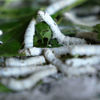 Picture of Winter Mulberry Silk Filled Duvet