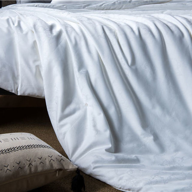 Picture of 2 in 1 Mulberry Silk Filled Duvet