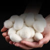Picture of 2 in 1 Mulberry Silk Filled Duvet