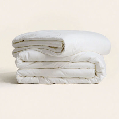Picture of 2 in 1 Mulberry Silk Filled Duvet