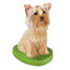 Picture of Custom Bobblehead Doll: Pet Dog Yorkshire Terrier