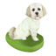 Picture of Custom Bobblehead Doll: Pet Dog Shih Tzu