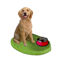 Picture of Custom Bobblehead Doll: Pet Dog Golden Retriever displaying Dogbowl