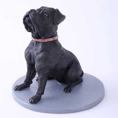Picture of Custom Bobblehead Doll: Black Pet Dog Sharpei 